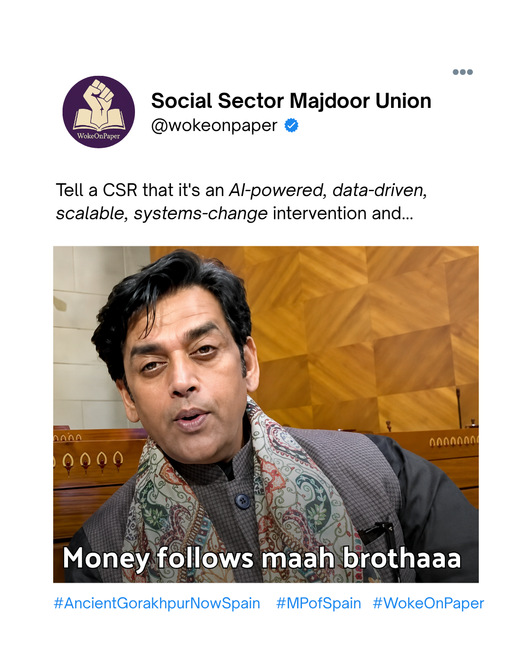 Post by Social Sector Majdoor Union (@wokeonpaper) on CSR jargon